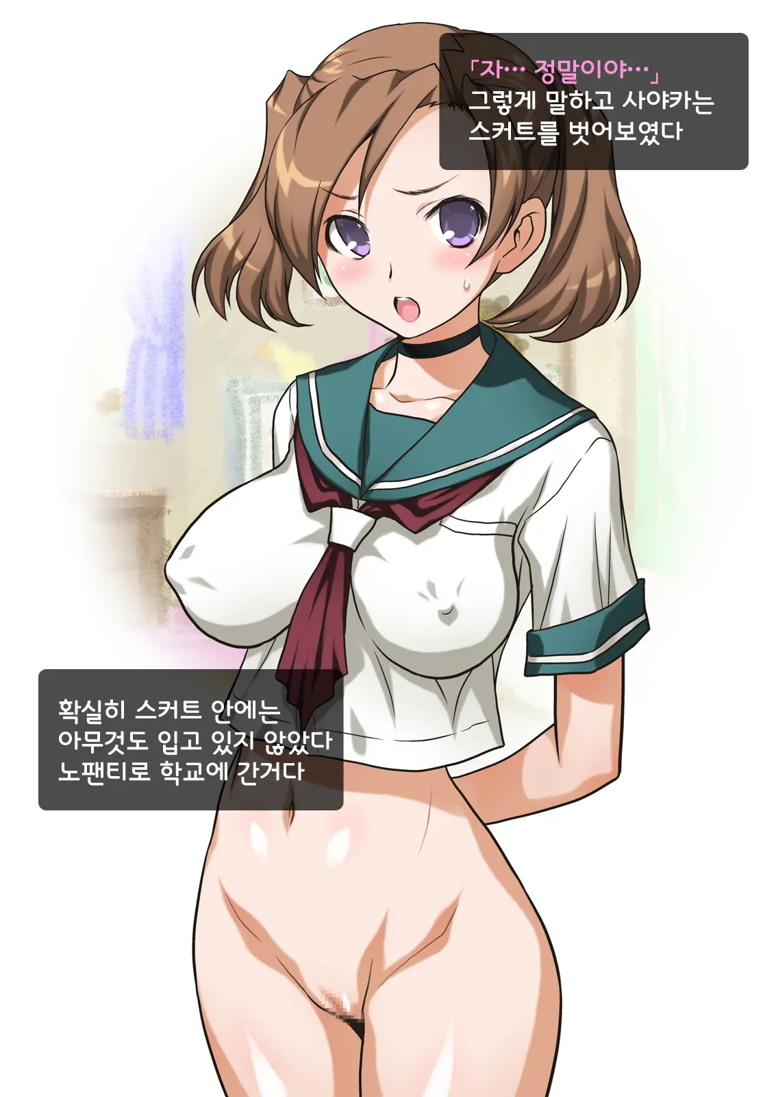 Imouto Wa Nama Onaho ~Sayaka Wa Onii-Chan Senyou Sei Gangu~